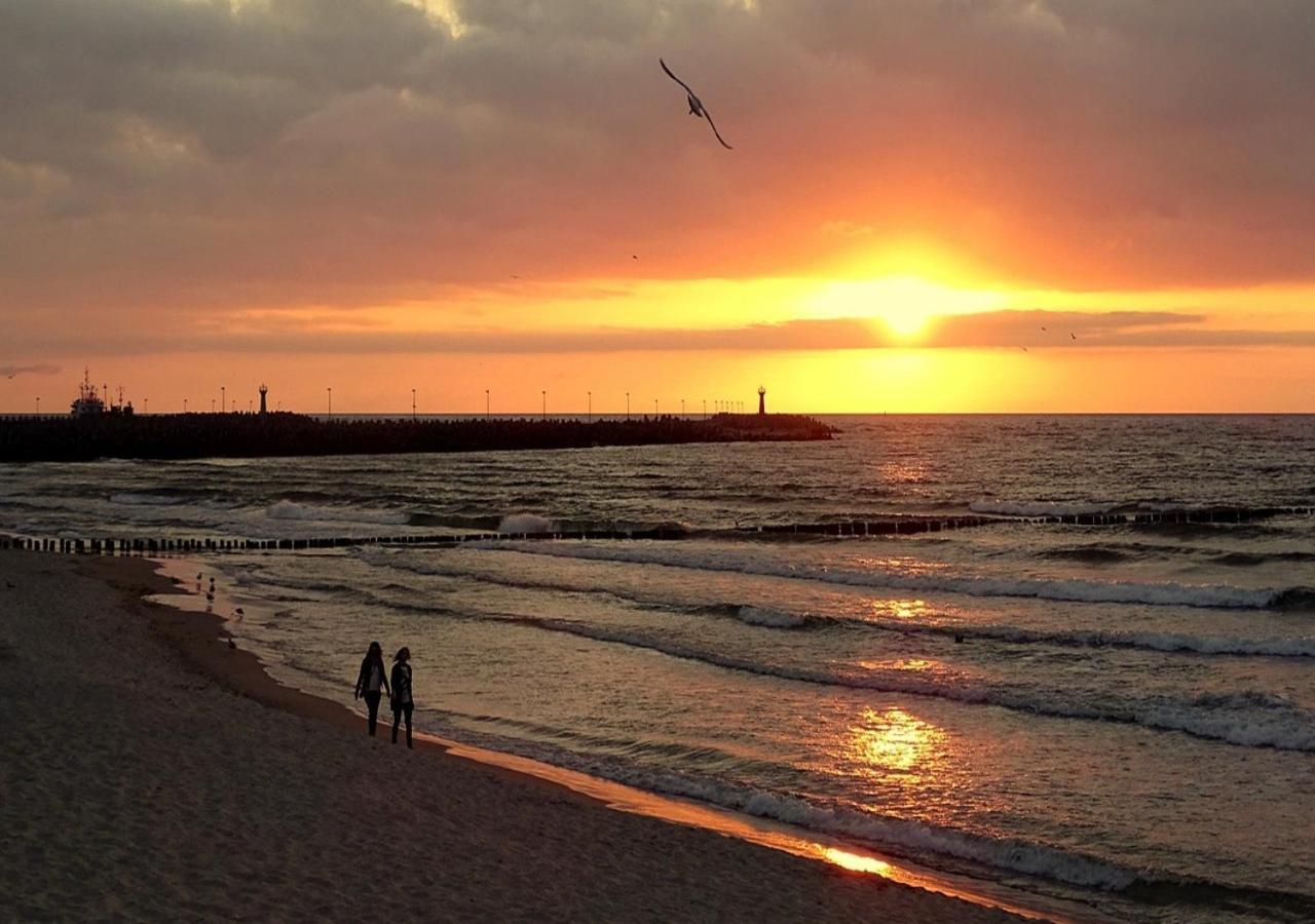 Apartament Whiteblue Kolobrzeg Z Duzym Ogrodkiem - 100 M Od Plazy! Whiteblue Kolberg Apartment Mit Grossem Garten - 100 M Vom Strand Entfernt! Whiteblue Kolobrzeg Apartman S Velkou Zahradou - 100 M Od Plaze! エクステリア 写真